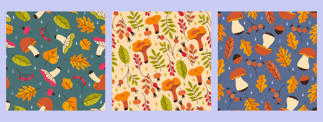 Fototapeta na wymiar Collection of autumn seamless patterns with mushrooms, berries and leaves. Vector graphics.