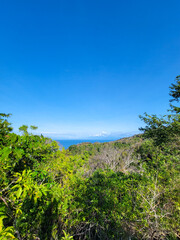 Fototapeta na wymiar View of the ocean from the rainforest