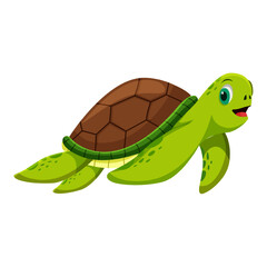 Cute Turtle Character Illustration