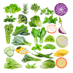 lettuce; Rosemary; Sage; oregano;  Broccoli; Sweet basil; Celery; zucchini; Bok choy; onion; mint; Chinese kale; cucumber; patty pan  cabbage; pepper;  Purple kohlrabi; Cabbage; Potato on transparent 