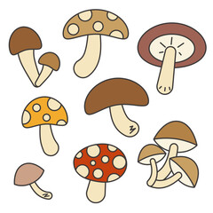 色々なキノコのポップなイラストセット