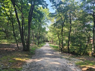 직접 촬영한 자연의 여러 경치