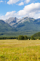 Picturesque mountain landscape with yellowed meadow and a rocky mountain ridge against background of blue sky with clouds on sunny day in early autumn. Eastern Sayan Mountains, Tunka valley, Buryatia