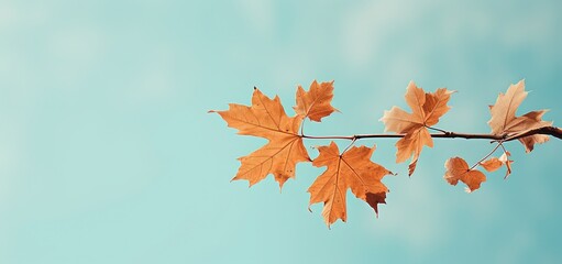 minimal Zen style backdrop of one dry yellow maple leaves on branch, Generative Ai	
