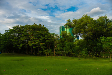 Fototapeta premium Summer cityscape view from the city Garden of golden sunset or sunrise light on the downtown Bangkok city