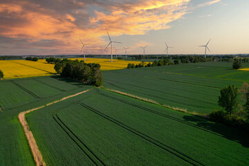 Aerial view Wind turbine on grassy yellow farm canola field against cloudy blue sky in rural area. Offshore windmill park with clouds in farmland Poland Europe. Wind power plant generating electricity