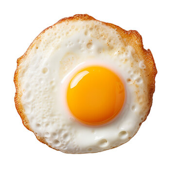 recommend clip art: fried egg and yolk isolated on transparent layer background, top view, Healthy breakfast.
