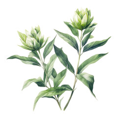 Fototapeta premium Flower branch watercolor clipart on transparent background. Generative AI illustration