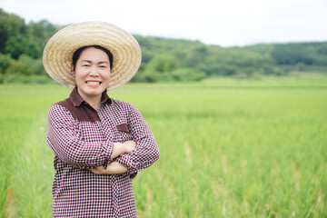 Asian woman farmer wears hat , plaid shirt, crossed arms on chest, stands at paddy field. Concept, agriculture occupation. Thai farmer lifestyle. Visit and take care of crops after grow.          