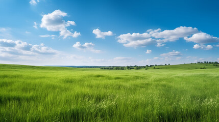 Fototapeta na wymiar Beautiful natural scenic panorama green field of cut grass into and blue sky with clouds on horizon. Perfect green lawn on summer sunny day, Generative AI 