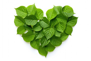 Heart-shaped Leaves: Embracing Love and Nature in Eco-Friendly Harmony