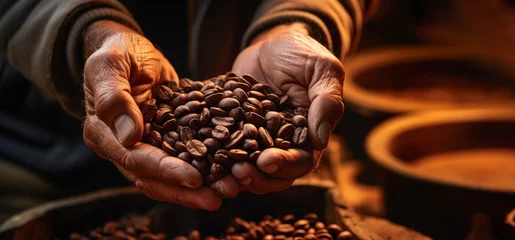 Coffee grains in the hands of an old man, close-up, International Coffee Day. © Ed