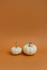 Small decorative pumpkins on red orange background. Autumn, fall, thanksgiving or halloween concept. Copy space