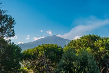 Photo sur Plexiglas Bleu Jeans Sicilian landscape with Mount Etna and stone pine trees in the foreground, Southern Italy.