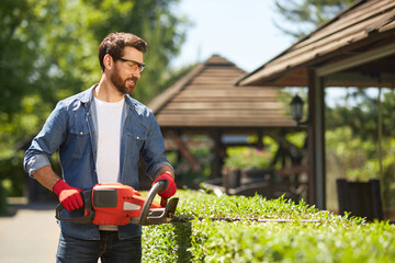 Middle-aged gardener using electric hedge clippers for trimming hedgerow at sunny day. Side view of...