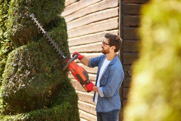 Professional male landscaper trimming thuja tree with hedge trimmer in summer. Side view of male worker creating topiary garden by cutting branches of evergreen plants. Concept of topiary, gardening. - obrazy, fototapety, plakaty