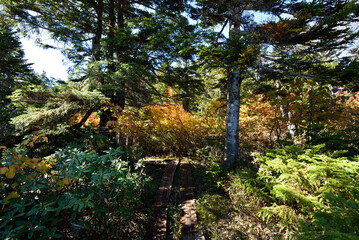 Climbing  Mount Taishaku and Tashiro, Fukushima, Japan