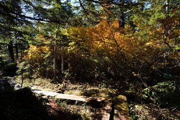 Climbing  Mount Taishaku and Tashiro, Fukushima, Japan