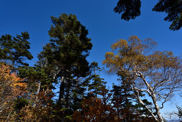 Climbing  Mount Taishaku and Tashiro, Fukushima, Japan