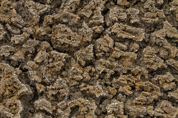 soil affected by drought and salinization