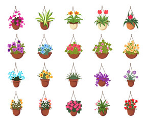 Plant and Flower hanging pots vector illustration flat icon set on white background. Contains like home decor with houseplant, blossom plant, floral, wildflower, botanical, macrame flower pots.