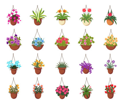 Plant and Flower hanging pots vector illustration flat icon set on white background. Contains like home decor with houseplant, blossom plant, floral, wildflower, botanical, macrame flower pots.