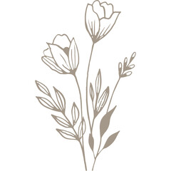 Hand-drawn Linear Flower Drawing