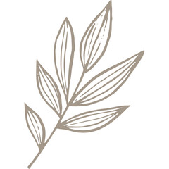 Hand-drawn Linear Plant / Twig / Branch  © Marina Zlochin