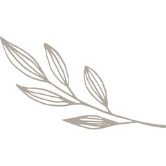 Hand-drawn Linear Plant / Twig / Branch  © Marina Zlochin