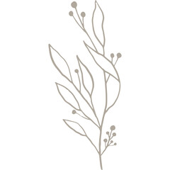 Fototapeta na wymiar Hand-drawn Linear Plant / Twig / Branch with Berries
