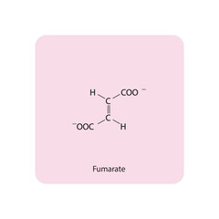 Fumarate Dicarboxylic Acid - intermediate in the citric acid cycle Molecular structure skeletal formula on pink background.