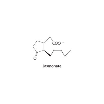Jasmonate Plant Hormone functions in plant defense responses to stress and injury Molecular structure skeletal formula on white background.