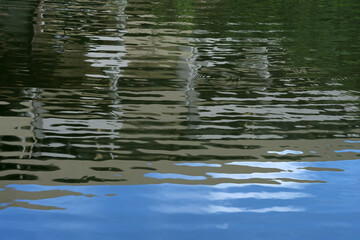 reflection in water