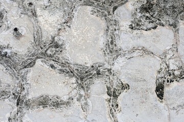 stone wall texture