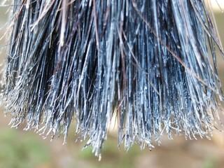 rain drops on the window