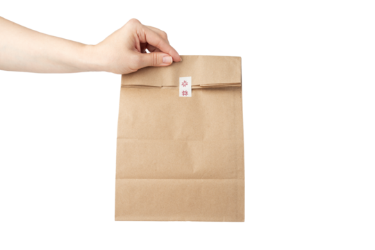take away bag in hand isolated, grocery delivery, responsible lunch packaging