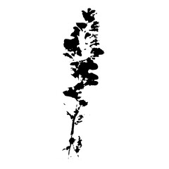 Naklejka premium Plant imprint. Black silhouette of herbal element on white background. Vector botanical detail.