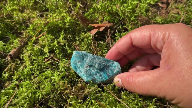 Blue Apatite raw crystal in a hand. Single beautiful blue healing gemstone against moss background.