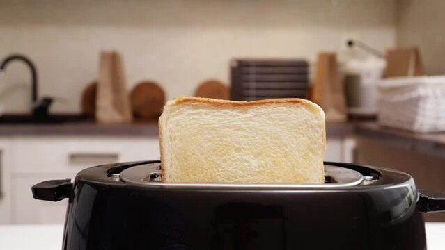 toasted bread slices popping up from the toaster, toaster on the kitchen preparing crispy toast for healthy breakfast.