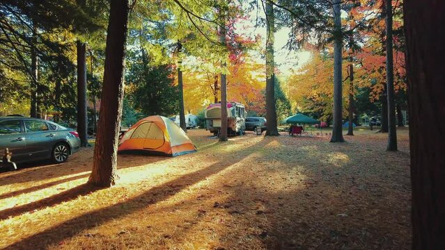 Autumn foliage camping site