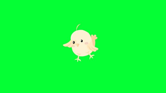 cute cartoon chick playing, happy   chick, little bird, background and 2d animation, child