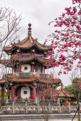 Cherry blossoms blooming and Pagoda at 228 Peace Memorial Park in Taipei.
