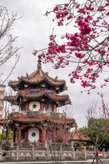 Cherry blossoms blooming and Pagoda at 228 Peace Memorial Park in Taipei.