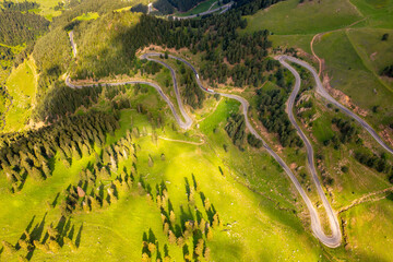 curvy roads and unique forest scenery, Artvin, Turkey