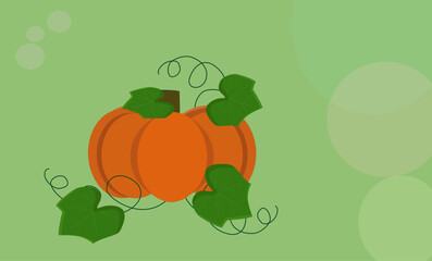 illustration of a pumpkin
