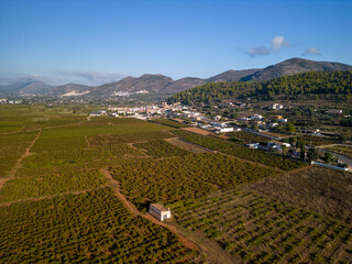 The vineyards fields in Lliber village, Costa Blanca, Spain - stock photo