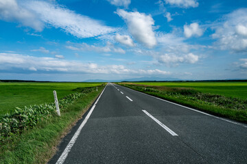 どこまでも続く直線道路エヌサカ線