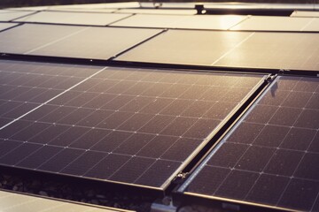 solar panels on a roof in the evening sun