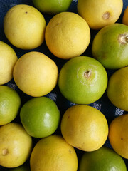 organic fresh ingredient  for delicious dish