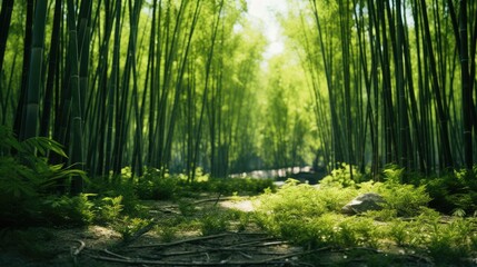 Fototapeta premium Bamboo forest, AI generated Image